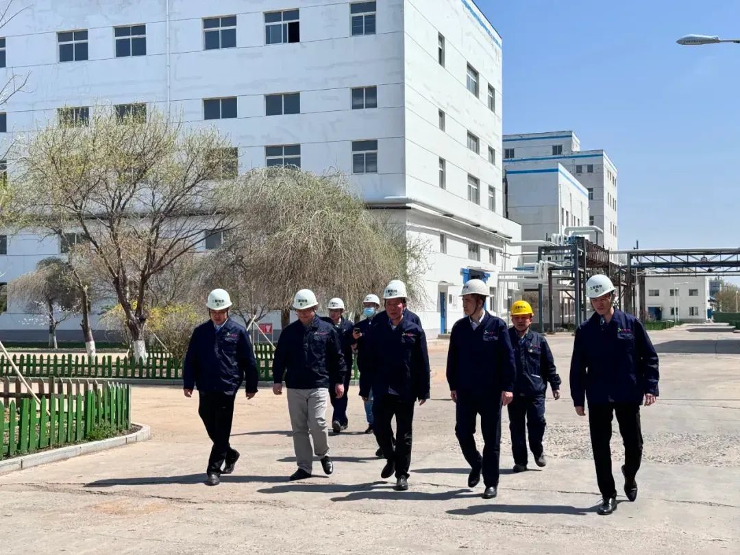 1715217869725785.jpg 圖片29.jpg